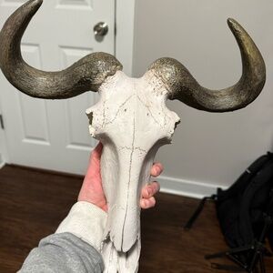 Rustic Longhorn Skull Wall Decor | Farmhouse Western Style | 16”